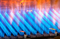 Kippen gas fired boilers